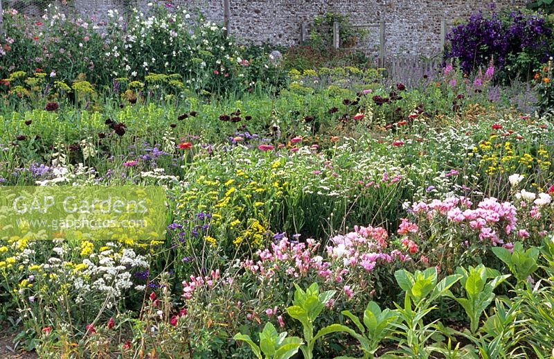 The kitchen garden with cutting flower borders in August - Parham House and Garden, Sussex 
