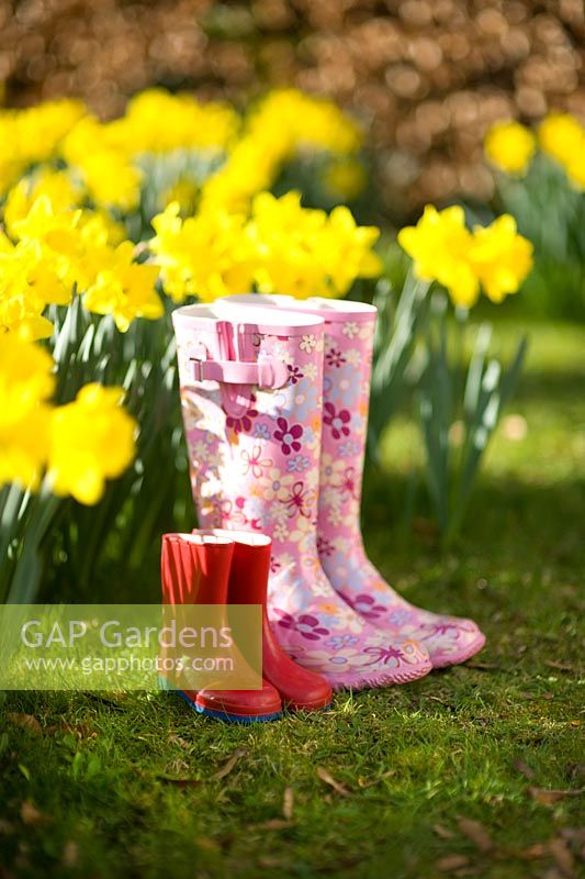 Patterned women's wellies and red children's wellies alongside daffodils in Spring