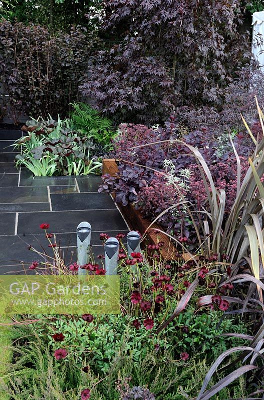 Patio garden with dark red foliage planting of Acer, Cosmos, Phormium and Cotinus - RHS Tatton Park Flower Show 2010
