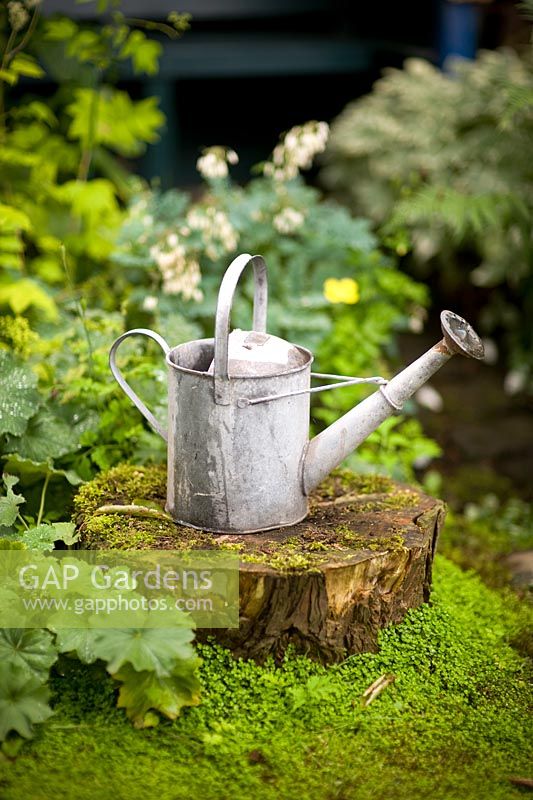 Vintage galvanised watering can on an old tree stump