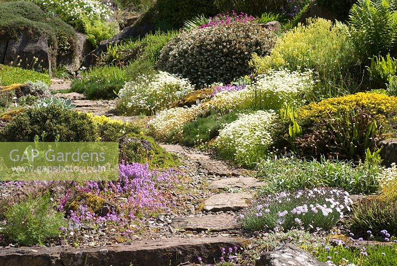Path winding through the Rock garden at St Andrews Botanic Garden, Scotland