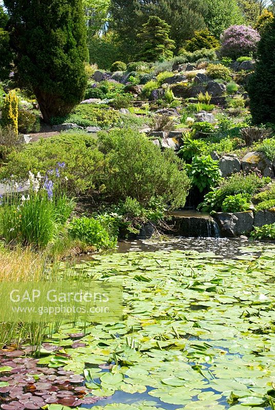 Water and Rock gardens at St Andrews Botanic Garden, Scotland