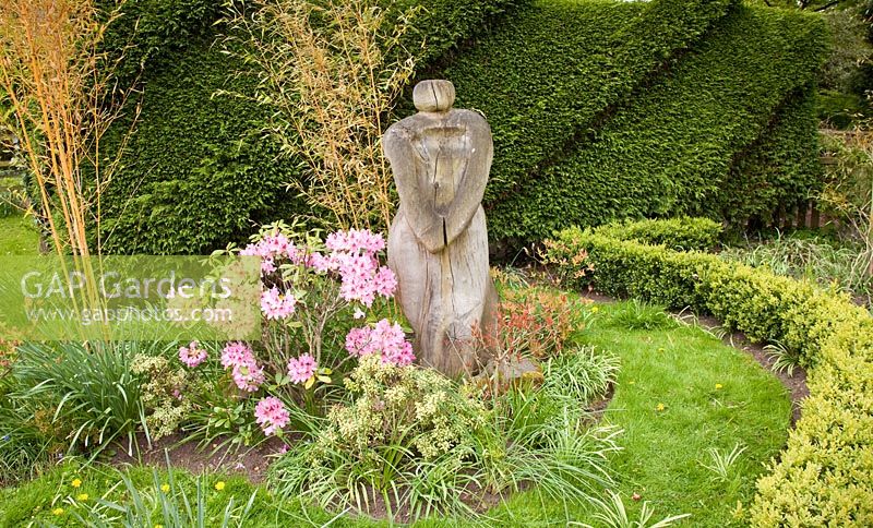 Wooden sculpture against clipped hedge, Bamboo and pink Rhododendron at Millenium Garden (NGS) Lichfield, UK, May