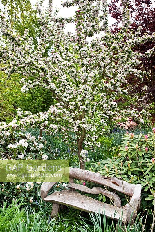 Unusual wooden bench under mature trees and shrubs at Millenium Garden (NGS) Lichfield, UK, May