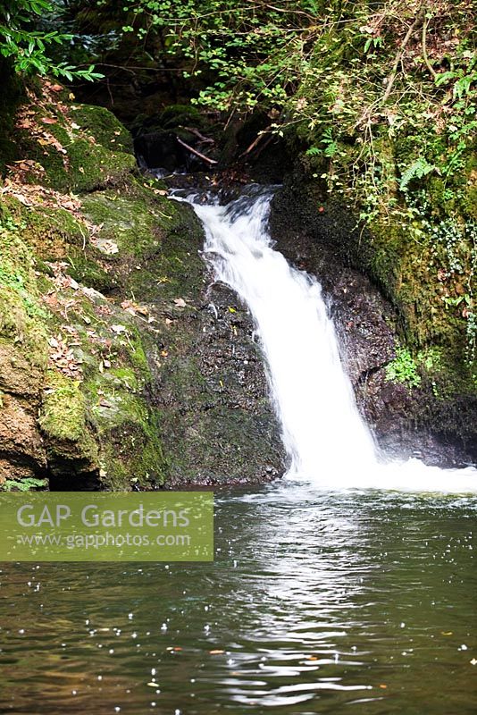 The River Cadnant in The Valley Garden - Plas Cadnant, Menai Bridge, Anglesey, Wales 