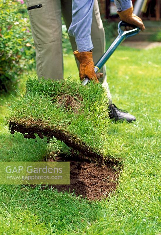 Using a spade, remove the area of damaged turf and take out about 15cm of soil from below the turf, leaving you with a shallow hole