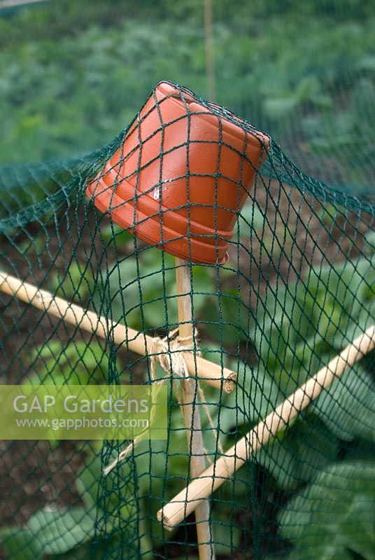 Plastic pot on bamboo cane with netting for pest control and plant protection