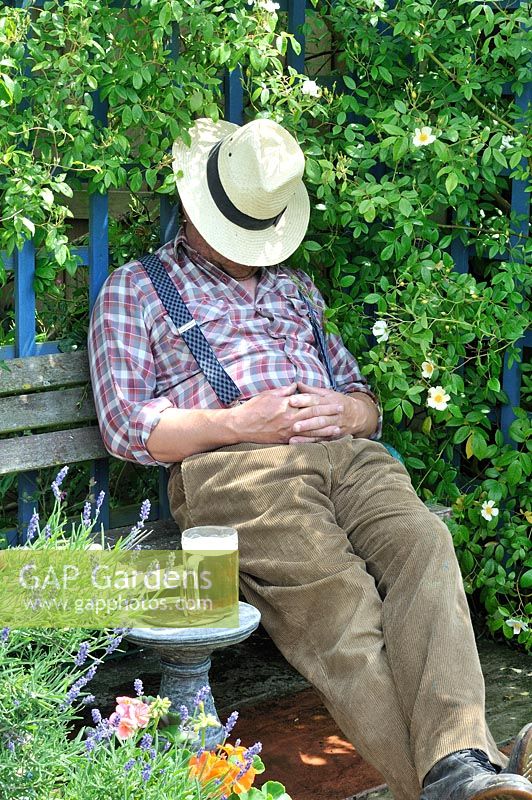 Middle aged gardener sleeping in garden arbour with a glass of beer, June