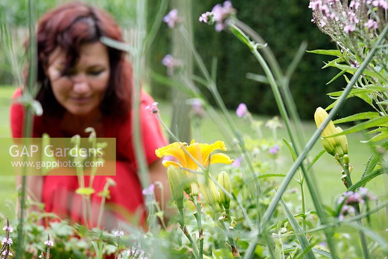 Woman in border of Hemerocallis 'Mrs. Vandenbosch' in Dutch garden and tearoom - De Tuinen in Demen
