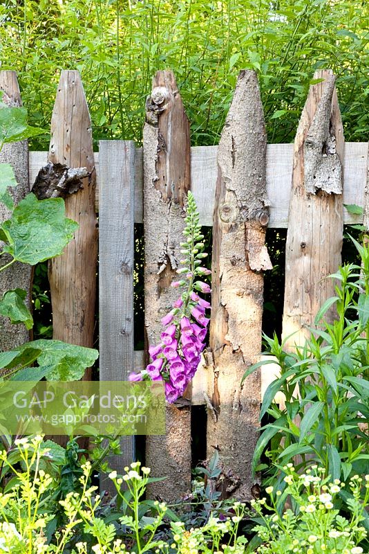 Reclaimed timber fence