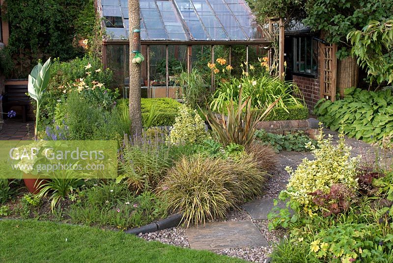 Gravel and stone slab path leading to wooden framed greenhouse. Mixed borders with grasses, Heuchera, Hosta, Euonymus fortunei 'Emerald 'n' Gold', Phormium, Hemerocallis and Canna 'Stuttgart'. Saxon Road, Lancashire The garden is open for The National Garden Scheme