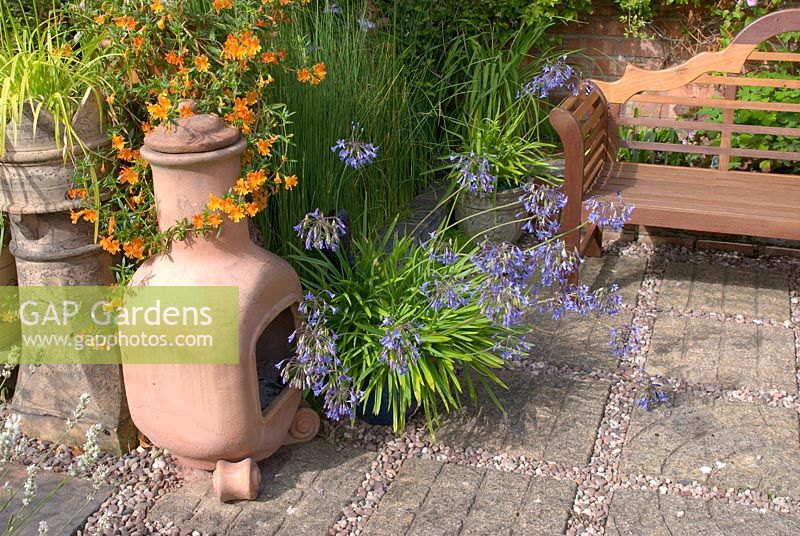 Agapanthus and Mimulus aurantiacus growing in various pots. Typha minima in rill adjacent to gravel and paving patio with bench and chimenea.  Saxon Road, Lancashire. The garden is open for The National Garden Scheme