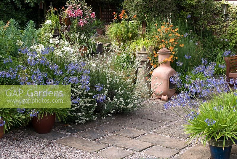 Agapanthus, Lavandula, Lilium 'Stargazer' and Mimulus aurantiacus growing in a border and various containers adjacent to gravel and paving slab path. Saxon Road, Lancashire. The garden is open for The National Garden Scheme
