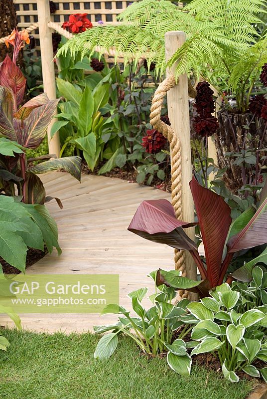 Boardwalk with rope through exotic rich planting with Tetrapanax papyrifer - Rice-Paper Plant, Dicksonia, Hosta, Canna and Dahlia. Southport Flower Show 2010 