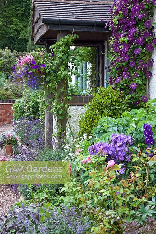 Front porch of cottage in August with herbaceous perennials, Clematis, hanging baskets in August at Lilac Cottage NGS, Gentleshaw, Staffordshire, UK 