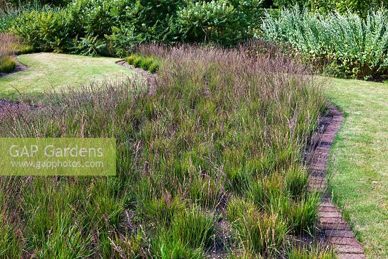 Drifts of Molinia caerulea ssp caerula 'Poul Petersen' in The Walled Garden at Scampston Hall, Yorkshire