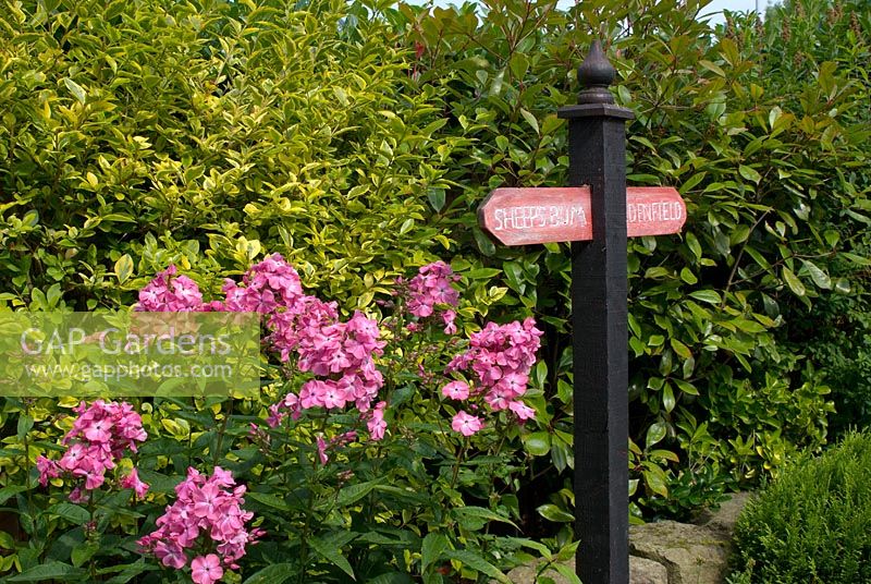 Fun feature of painted sign post and border with Phlox, Euonymus and Photinia 'Red Robin' - 'Trevinia', Stubbins, Lancashire, NGS