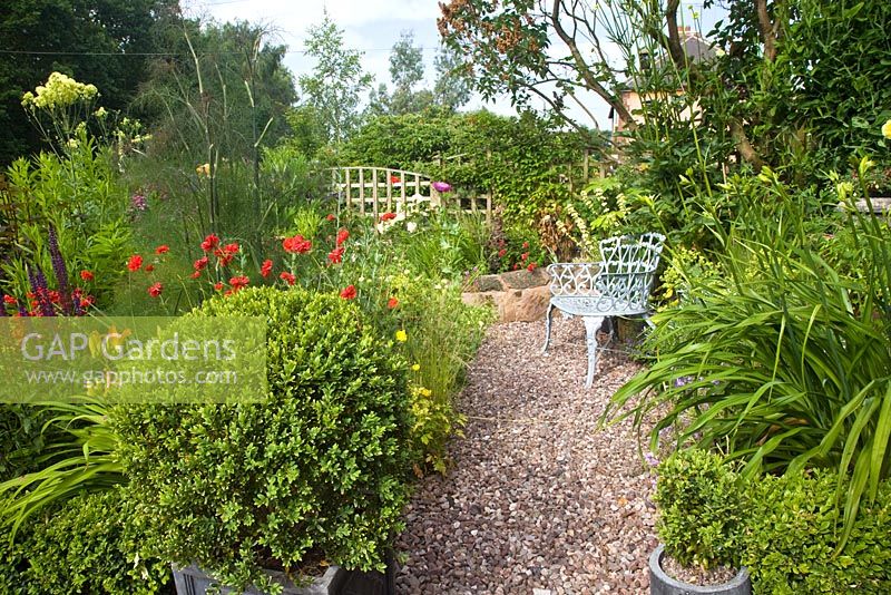 A plant lovers cottage garden with gravel area and herbaceous perennials, box hedging, mature shrubs and trees - Coley Cottage, Little Haywood, Staffordshire, NGS