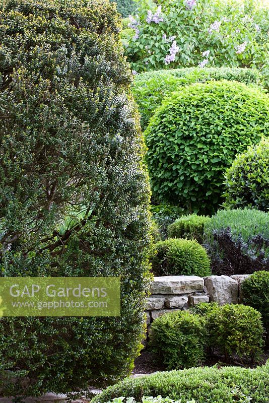 Assorted topiary - La Louve garden, Provence, France