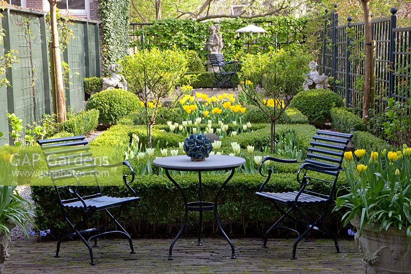 Urban formal garden in Spring with metal furniture on patio and clipped Buxus - Box parterre planted with Tulipa 'Yellow Purissima', Tulipa 'Jan Siemerink', Tulipa 'Ivory Floradale'
