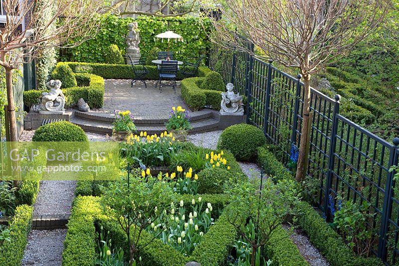 Elevated view of urban formal garden in Spring with clipped Buxus - Box parterre planted with Tulipa 'Yellow Purissima', Tulipa 'Jan Siemerink', Tulipa 'Ivory Floradale' 