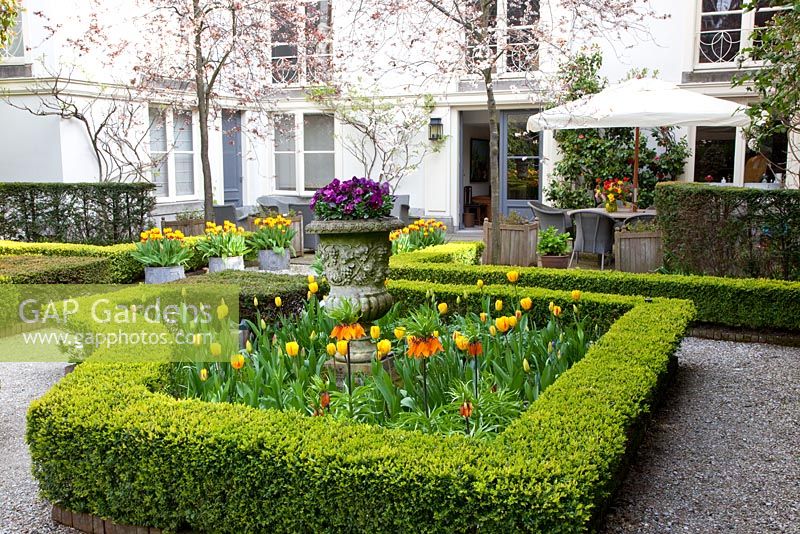 Formal garden with Fritillaria, Tulipa 'Washington', 'Mickey Mouse' and 'Juliette' growing in Buxus - Box parterre, stone urn planted with Viola - Pansies and patio with seating area beyond 