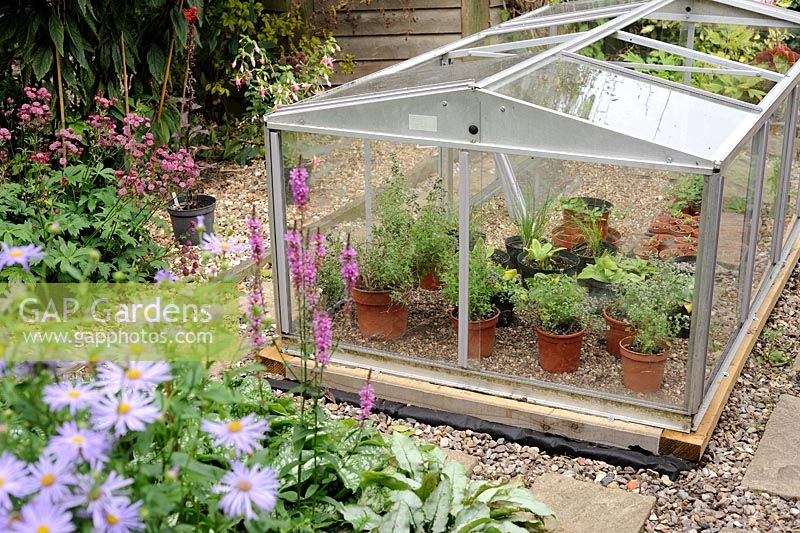 Garden cold frame containing potted plants, September