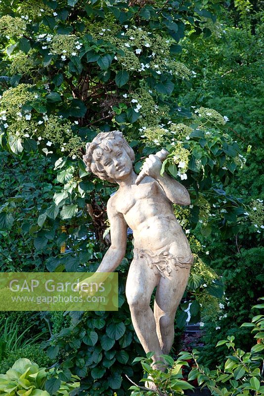 Figurative statue with Hydrangea petiolaris behind 