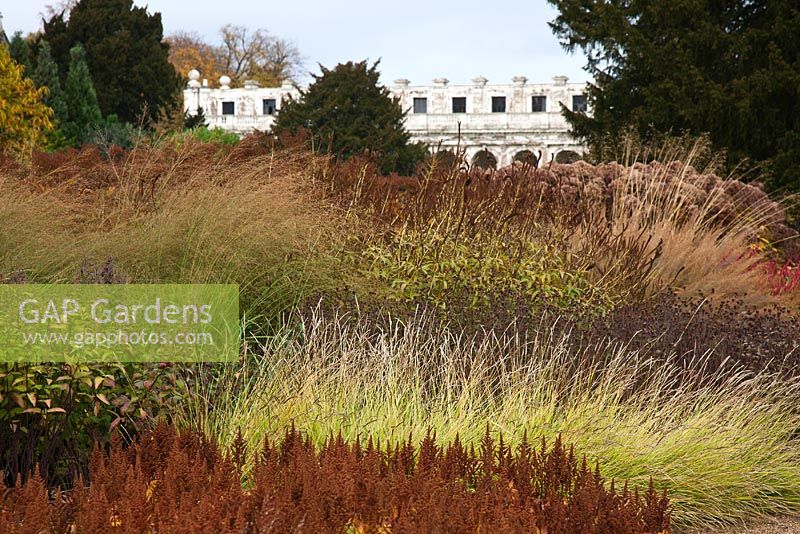 Seedheads of perennials and grasses in the new area of planting - Trentham Gardens, Staffordshire, October 