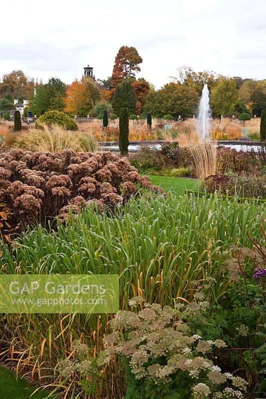 Overlooking the Italian Garden with grasses and seedheads of perennials designed by Tom Stuart-Smith at Trentham Gardens, Staffordshire, October