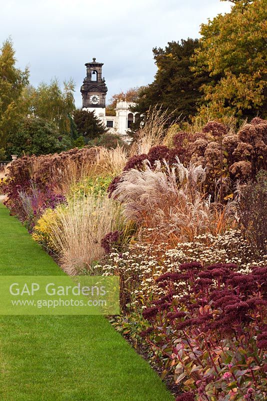 Border of grasses and seedheads of perennials designed by Piet Oudolf - Trentham Gardens, Staffordshire, October