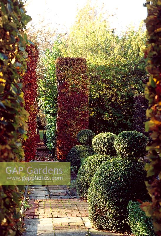 Path through formal garden edged by topiary in Autumn