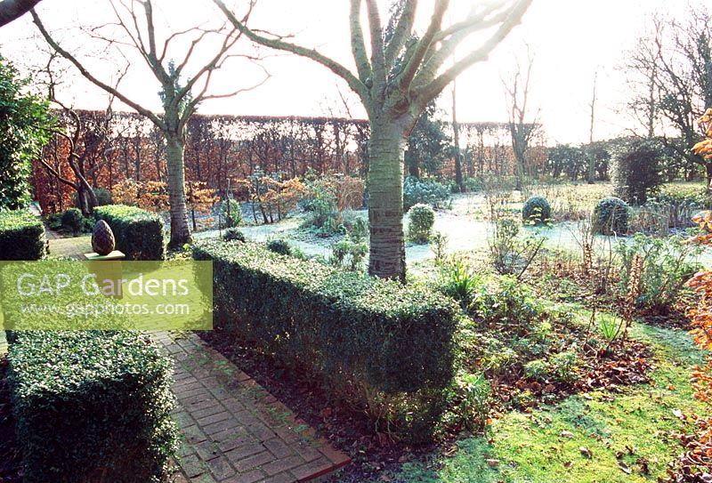 Formal winter garden with low clipped hedges and brick path
