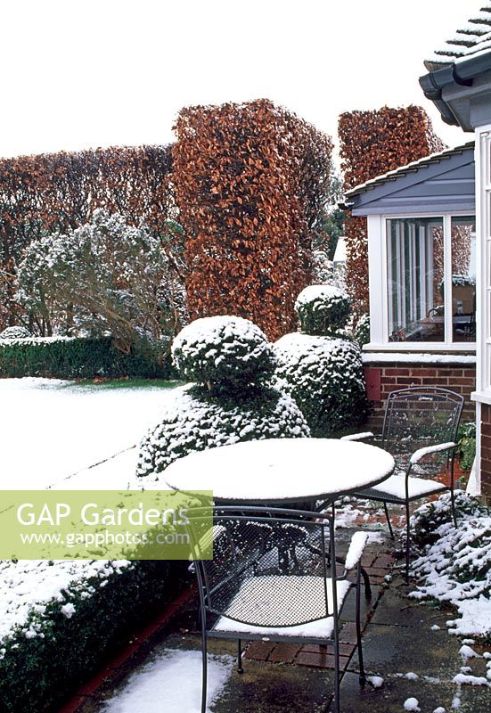 Patio in winter with snow covered furniture, topiary and Fagus - Beech hedge