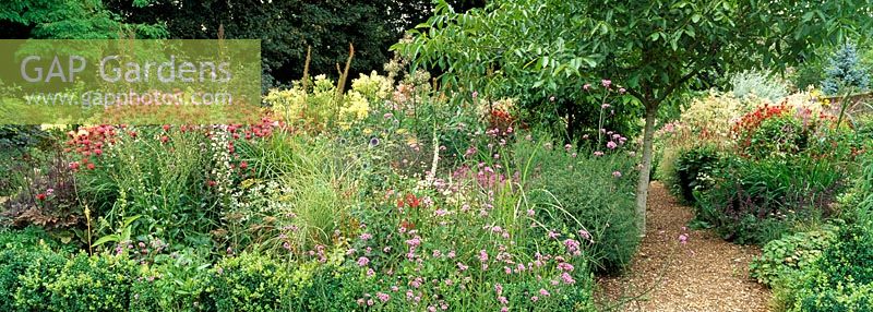 Late summer flowering perennials and grasses garden at The Coach House, Hampshire
