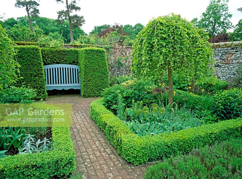 A seat with topiary hedges and Morus alba 'Pendula' in the formal garden at Wyken Hall, Suffolk