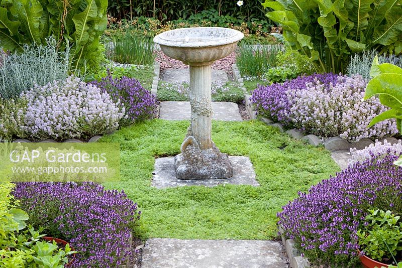 Small herb garden with Thymus - Thyme and Chamaemelum nobile - Chamomile planted around bird bath