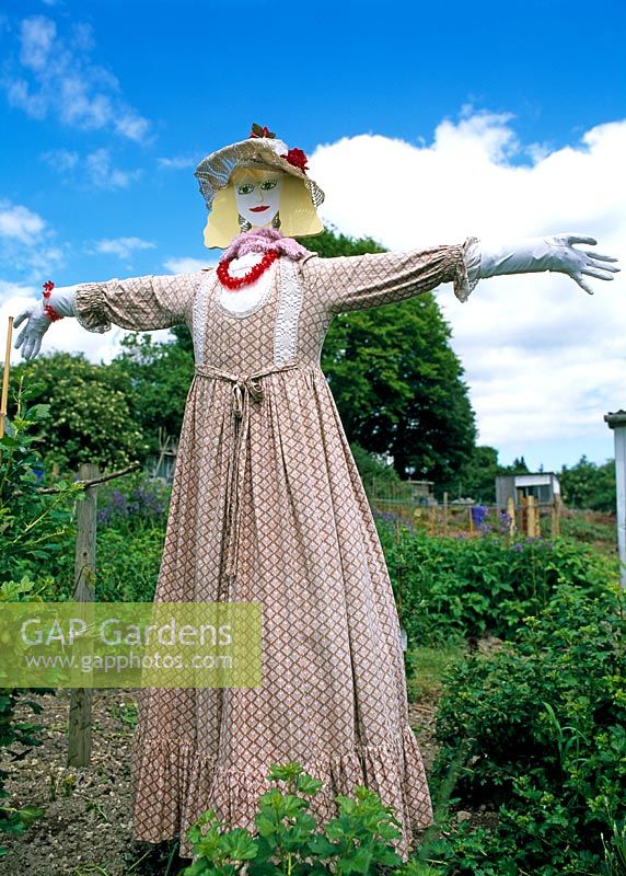 Lady scarecrow in long vintage dress on allotment
