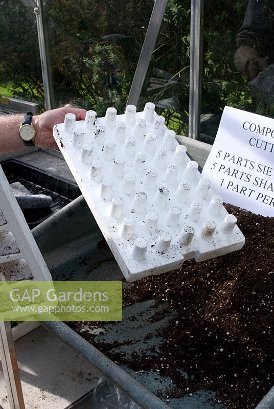 'Propamatic' reusable, polystyrene pegboard stand which supports growing tray and reverses to eject cuttings