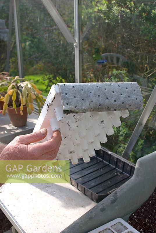 'Propamatic' capillary matting placed over polystyrene pegboard stand which supports growing tray and reverses to push out cuttings