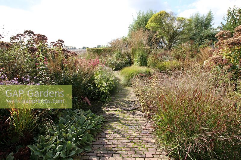 Brick path through Nursery and garden in The Netherlands.