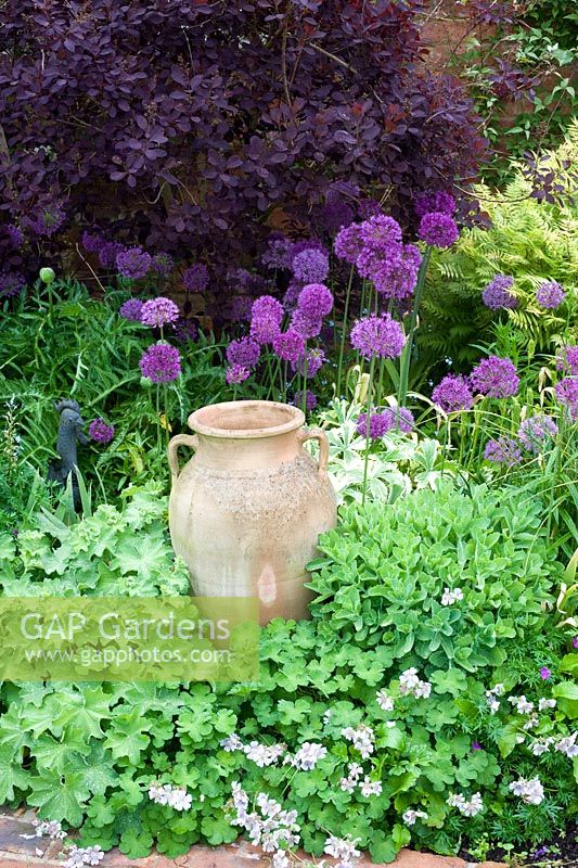 Allium 'Purple Sensation' and Cotinus coggyria 'Royal Purple' in border with urn. Dawn End Lodge NGS, May
