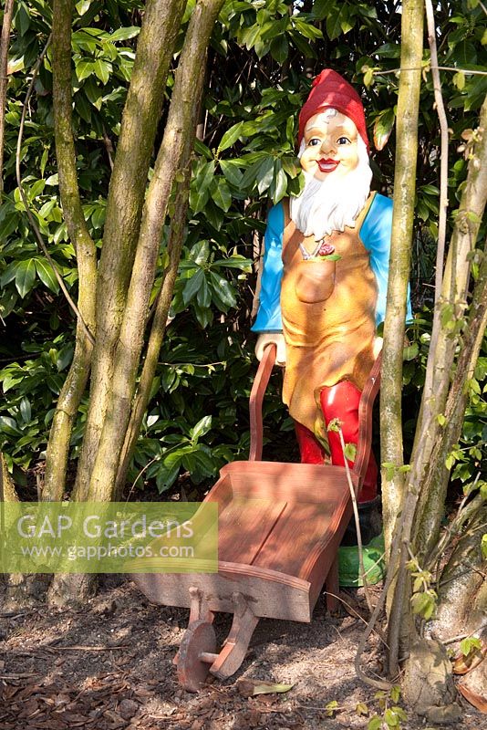 Gnome with wheelbarrow - Appeltern garden, Holland 
