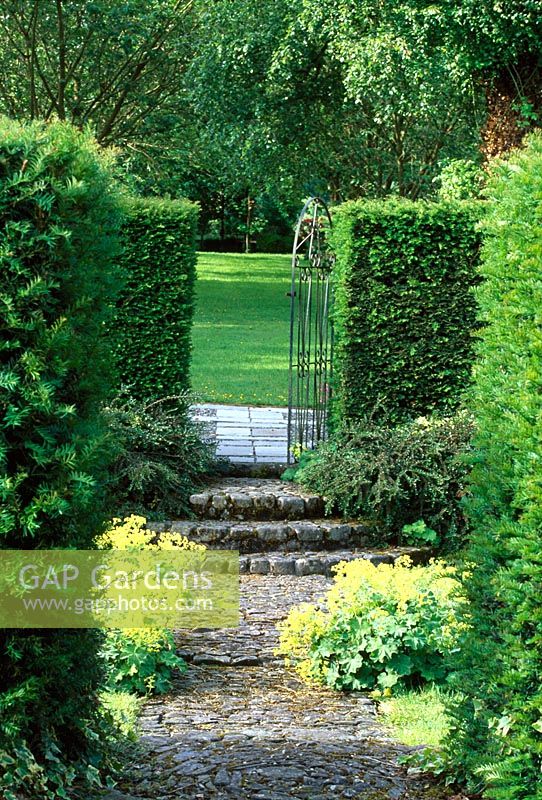 Path to gate bordered by Alchemilla mollis - Llanllyr Garden, Talsan, Ceredigion, Wales, June 
