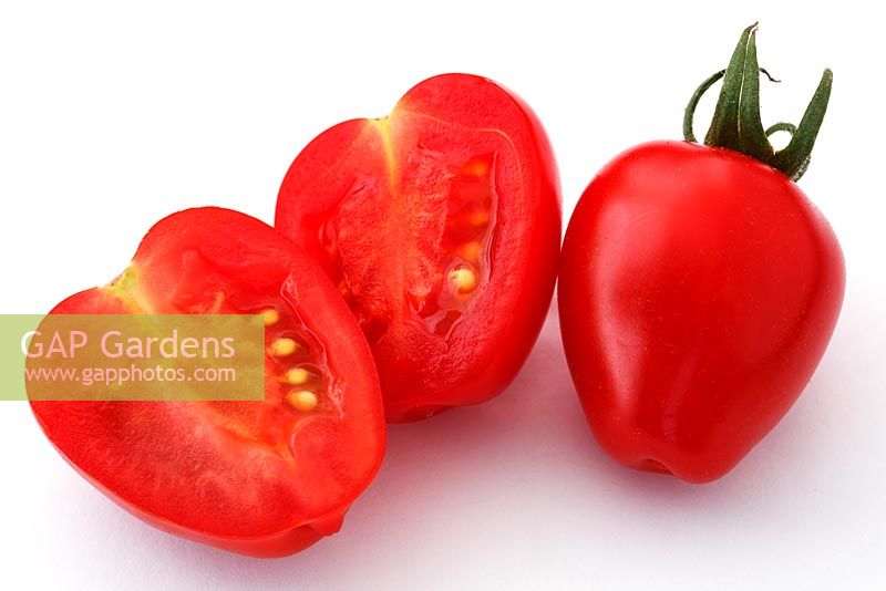 Lycopersicon esculentum 'Tomatoberry' Tomato F1 Hybrid syn 'Berry' 