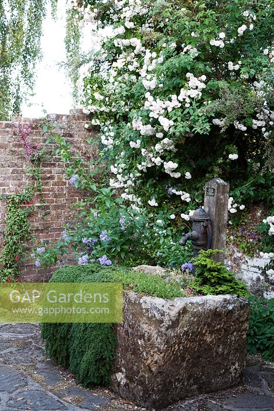 C19 Old Potting Shed remains with water pump and climbing rose - Borde Hill, Sussex