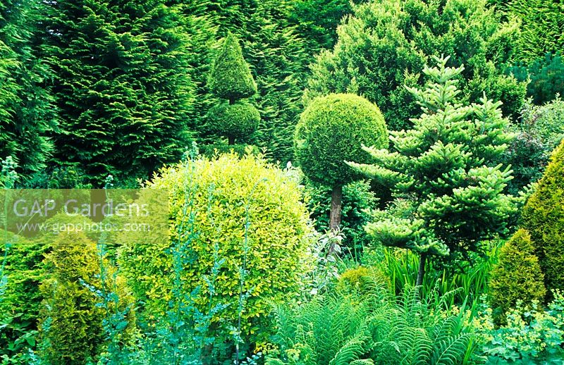 The Yellow Garden - Cae Hir, Cribyn, Ceredigion, Wales