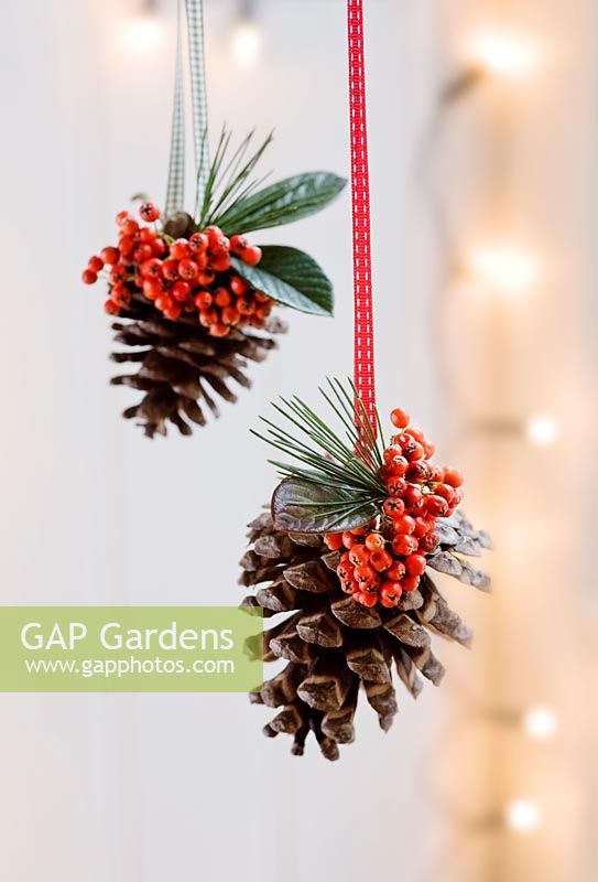 Pine cones decorated with Cotoneaster red berries and pine foliage