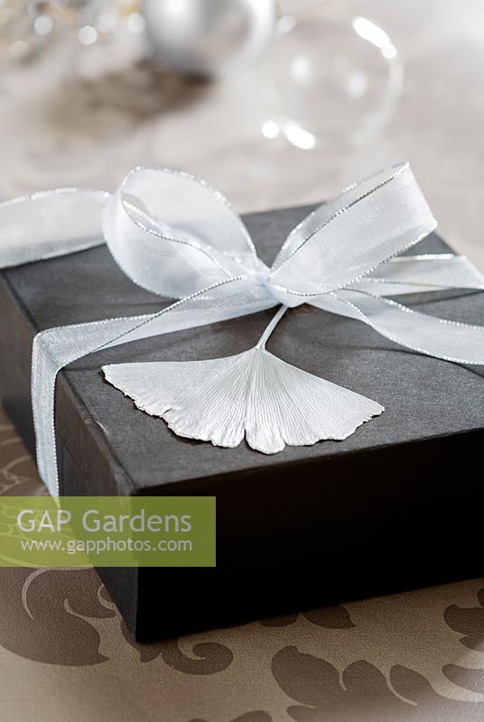 Silver sprayed gingko leaf used to decorate a gift