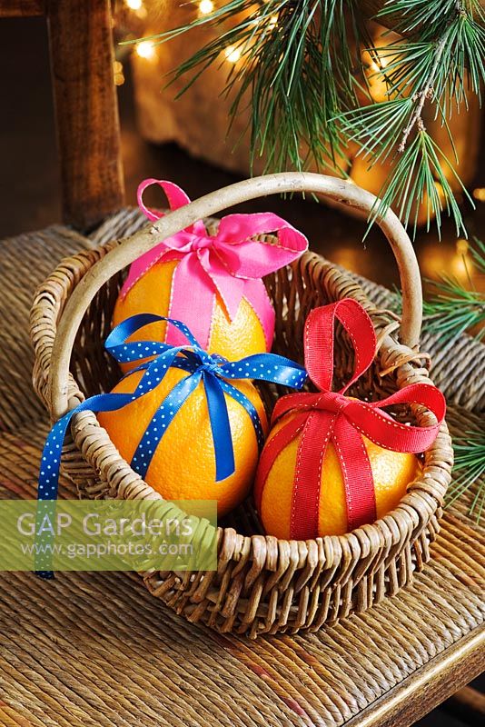 Oranges decorated with brightly coloured ribbons for Christmas